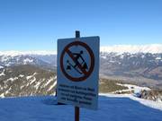 Bescherming van het bos