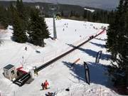 K. Mecha Poliana - Transportband