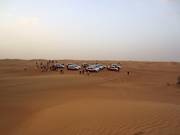 Ontmoetingspunt in de woestijn