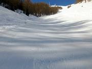 Zwarte piste Olympique