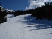 Perfecte afdalingen door het bos