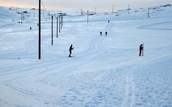 Langlaufen Zuid-Eiland – Langlaufen Bláfjöll