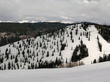 Skigebieden voor gevorderden en off-piste skiërs Sawatch Range – Gevorderden, off-piste skiërs Aspen Mountain