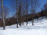 Zeer populair zijn de afdalingen door uitgedunde bossen (Gladed Runs)