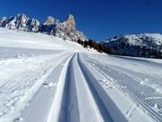 Perfect geprepareerde hoogteloipe bij de Rollepas