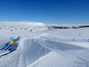 Makkelijke verbindingspiste Rypestien