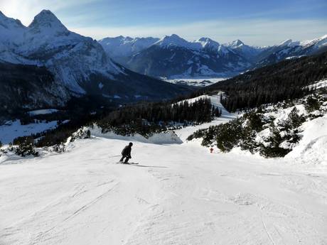 Wettersteingebergte en Mieminger Kette: Grootte van de skigebieden – Grootte Ehrwalder Alm – Ehrwald