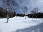 Makkelijke tot middelzware piste Des Bouleaux