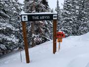 Open terrein voor professionals