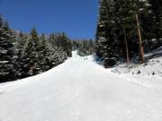 Dalafdaling naar Kappl