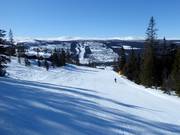 Gemakkelijke piste Nybegynnerbakken