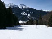 Dalafdaling Schlappin