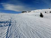 Kleine Belchenafdaling