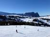 Rosengarten: Grootte van de skigebieden – Grootte Seiser Alm (Alpe di Siusi)