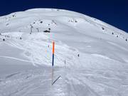 Gedetailleerde pisteafzettingen