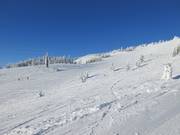 Afdaling Fall Line bij de West Bowl T-Bar