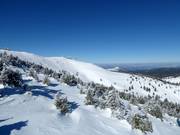 Uitzicht vanaf de 6-persoons stoeltjeslift Krčmar naar de Pančićev vrh