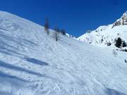 Freeridegebied bij de Zweitausender