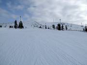 Gemakkelijke piste bij de sleeplift Aurinkosompa