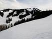 Aspen Snowmass: Grootte van de skigebieden – Grootte Aspen Mountain