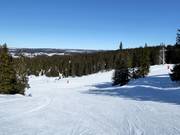 Gemakkelijke piste Fjell