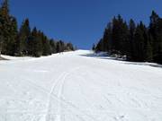 Piste Vrh Krvavca-Gradišče