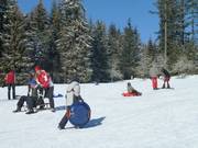 Plezier voor het hele gezin op de rodelhelling