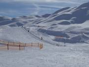 Trattalmmulde - Transportband/Moving Carpet