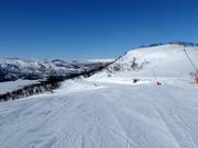 Piste Telemarken nr. 22 (Geilohovda)