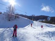 Riedlift - Pannenkoeklift