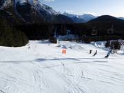 Gemakkelijke piste Cascade