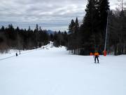 Makkelijke piste bij de sleeplift in het dalgebied