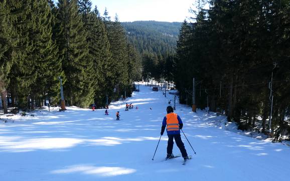 Skigebieden voor beginners in het Boheemse Woud – Beginners Špičák