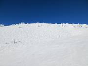 Buckelpistes onder Top of the World