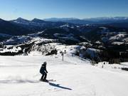 Piste nr. 21 Laurin II