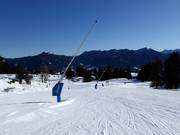 Lansbesneeuwing bij de Milchhäusl-6er-Express