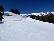 Watles afdaling onder het middenstation (dalafdaling)