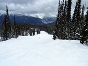 Verbindingspiste Ripper Connector