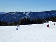 Gemakkelijke en brede piste Chevreuil