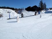 Gratis transportband Rullis