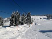 Übungslift Gapfohl - Pannenkoeklift