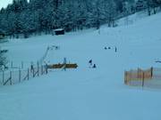 Sleeplift Schedlerhof in het dorp Brand