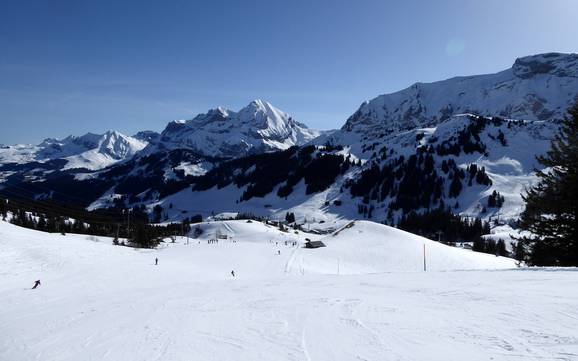 Grootste hoogteverschil in Lenk-Simmental – skigebied Adelboden/Lenk – Chuenisbärgli/Silleren/Hahnenmoos/Metsch