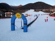 Oefenweide met transportband