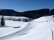 Loipe op de Winklmoos-Alm