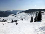 Uitzicht vanaf de Winkelliftafdaling naar de Franzosenberg