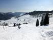 Hochschwarzwald: Grootte van de skigebieden – Grootte Muggenbrunn