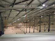 Hoofdskipiste bij de sleeplift