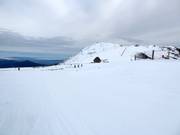 Uitzicht op de Summit