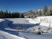 Groot besneeuwingsmeer bij de Halsegglift